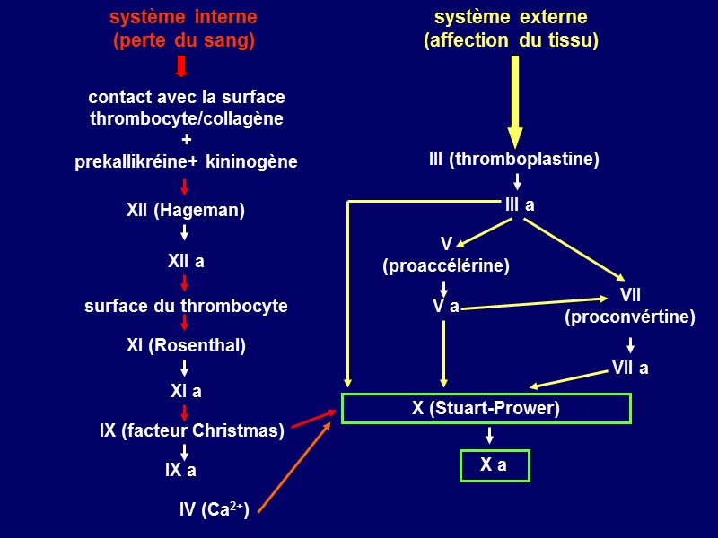 système interne (perte du sang) système externe  (affection du tissu) contact avec la